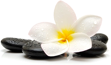 Massage Centre in Nungambakkam 